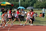 SBS_ (1121).JPG